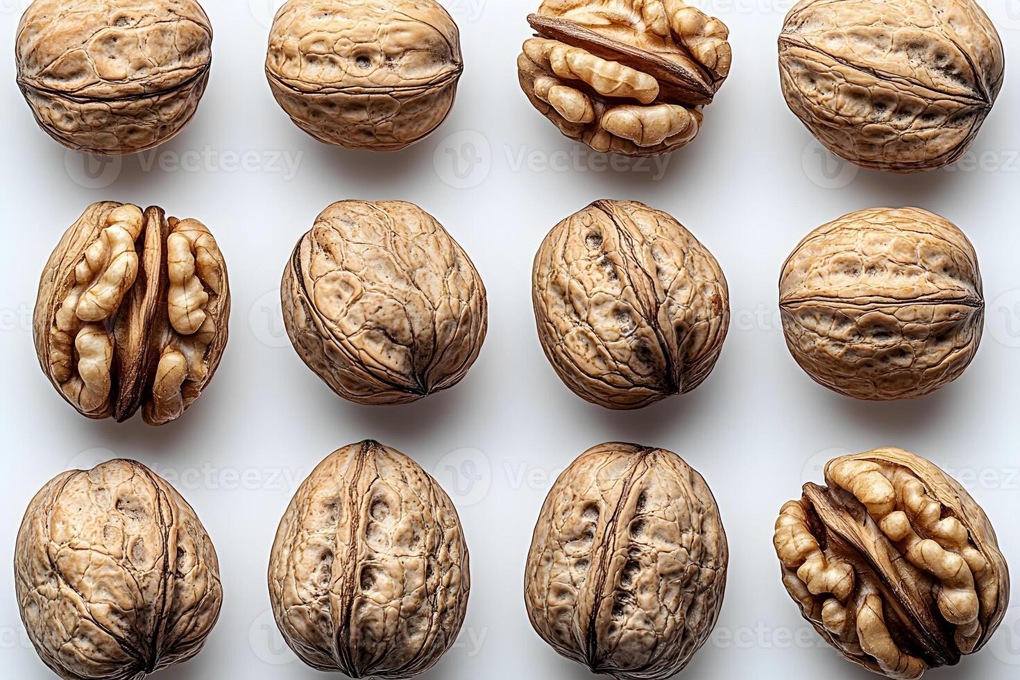 Arrangement of Walnuts in Rows on White Background for Food and Nutrition Concepts photo
