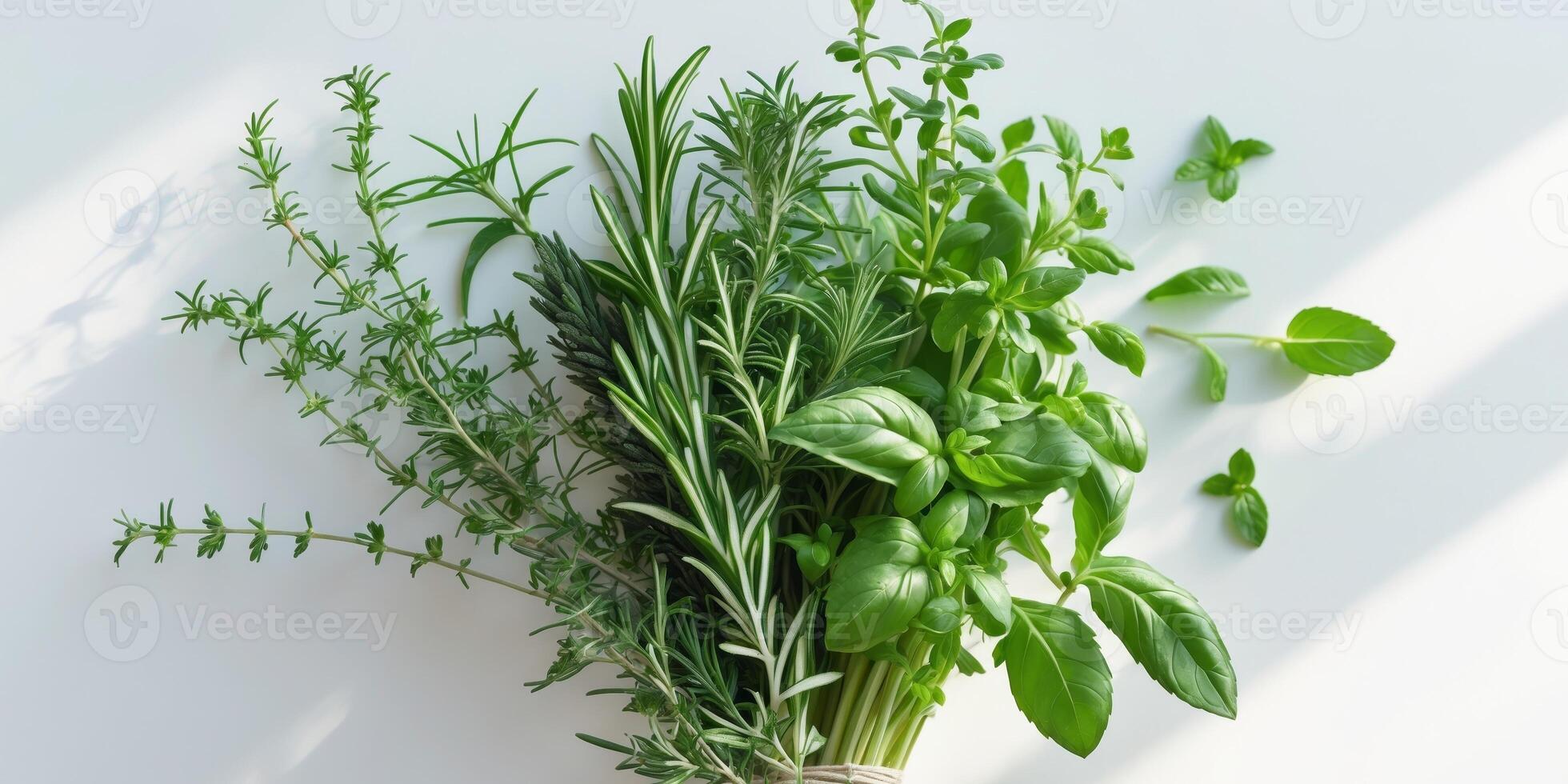 Fresh Herbs Bundle Basil Rosemary Thyme and Mint Culinary Ingredients. photo