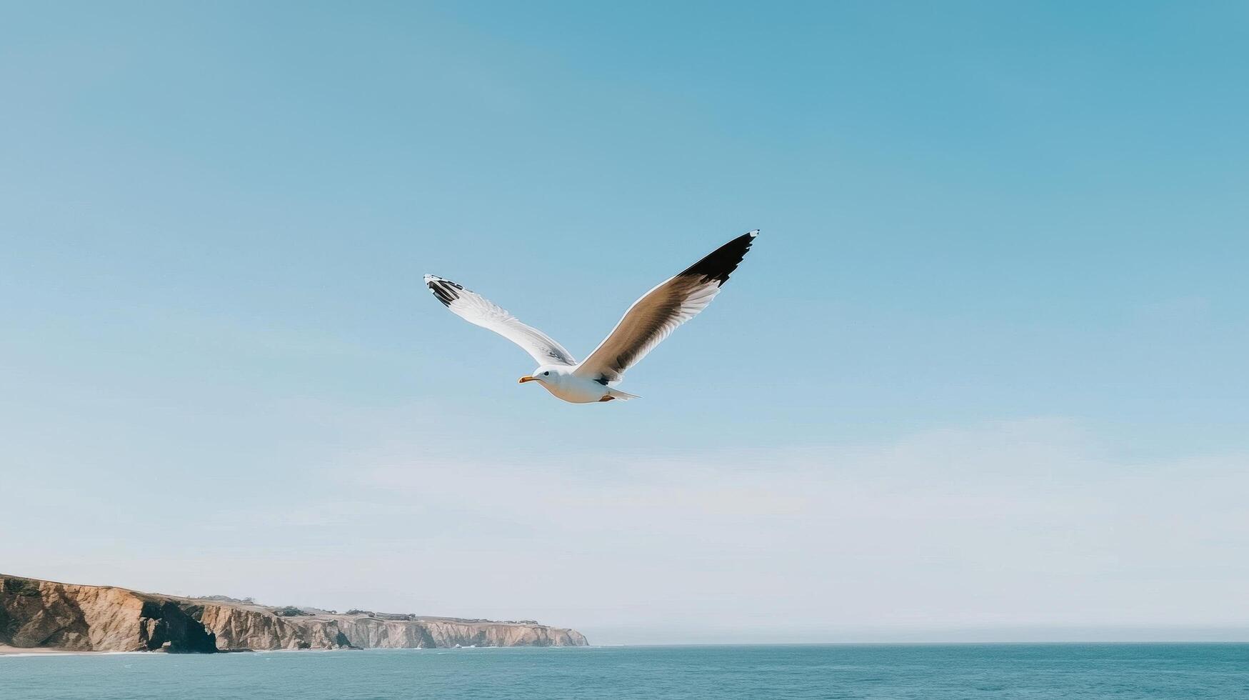 Majestic Seagull in Flight Over Ocean Coastline Clear Blue Sky photo