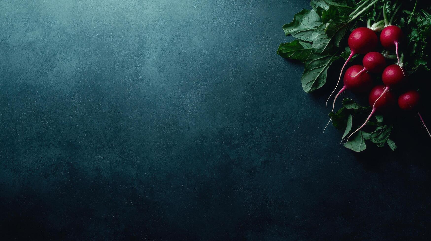 Fresh Red Radishes with Greens on Dark Background Food Photography photo