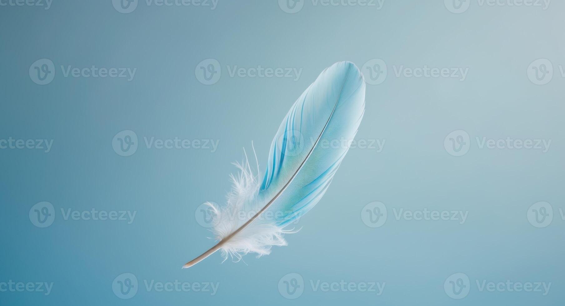 Single soft feather floating on a blue background photo
