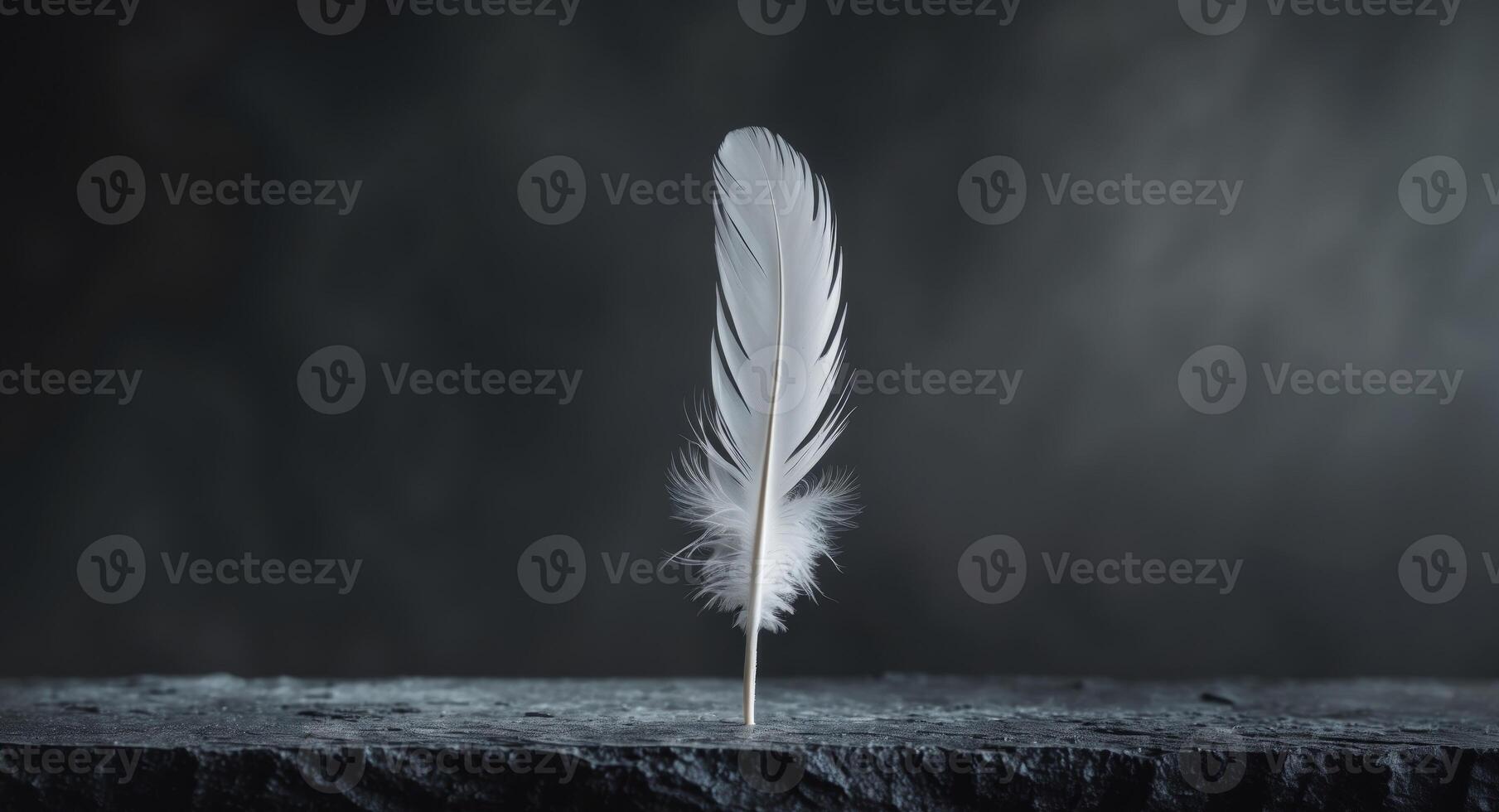 Single white feather on dark textured surface. photo
