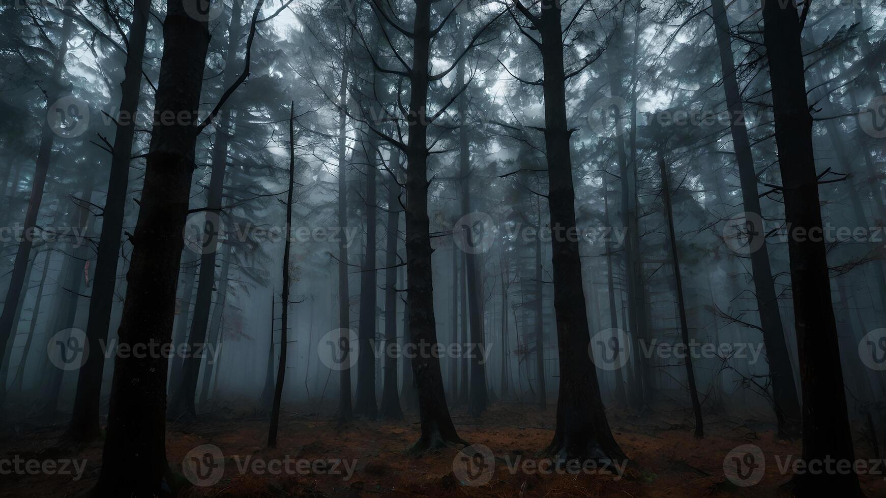 Spooky Dark Foggy Forest Landscape photo