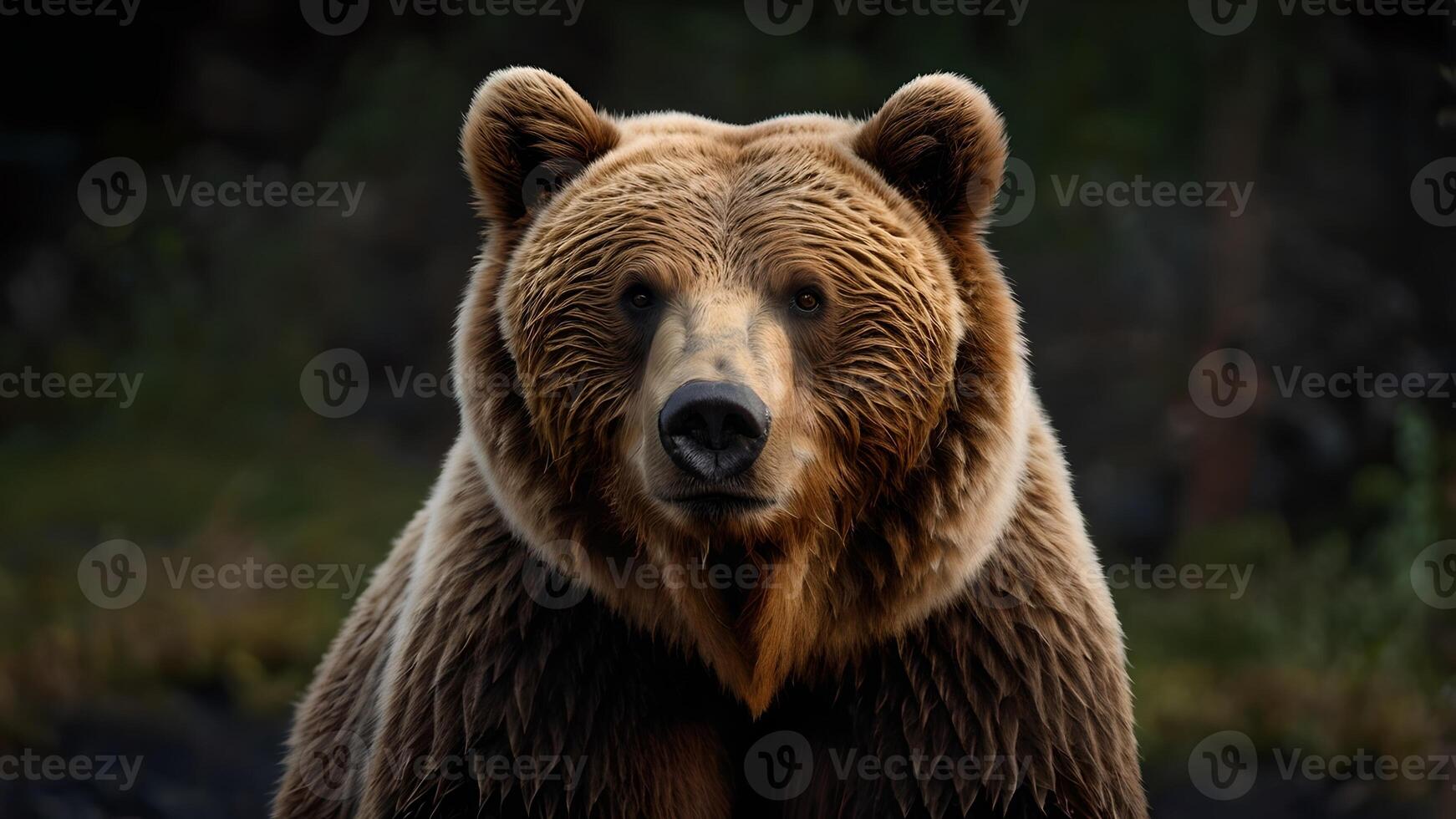 Majestic Kamchatka Brown Bear Portrait in Forest photo