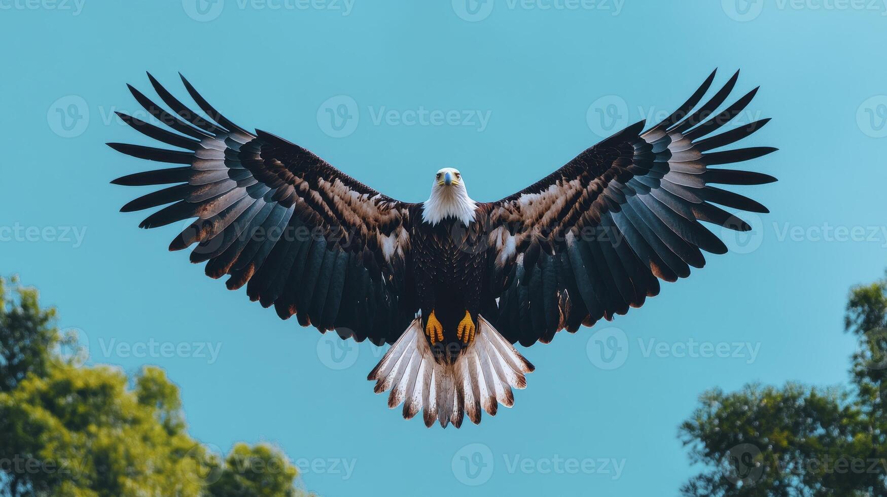 An eagle is soaring in the sky with its wings spread photo