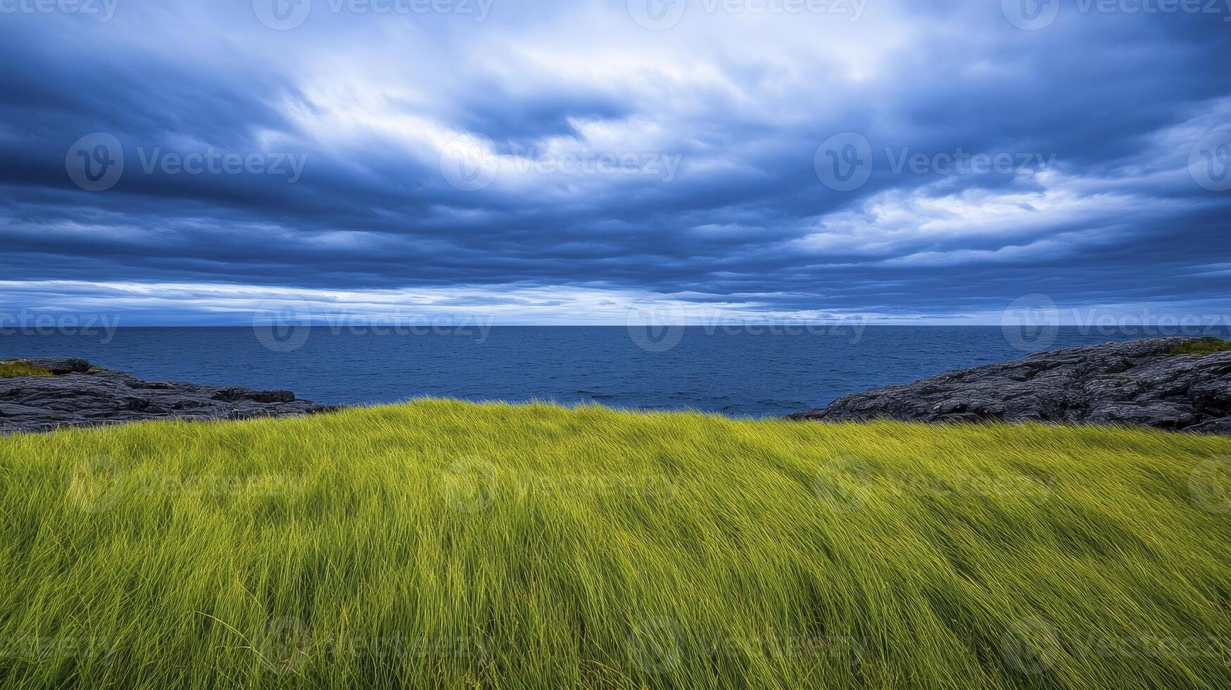 A grassy field with a blue sky and clouds photo