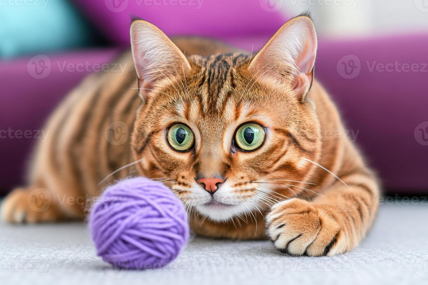 Playful Bengal cat with green eyes eagerly chasing a purple ball of yarn among colorful cushions and a vibrant carpet photo