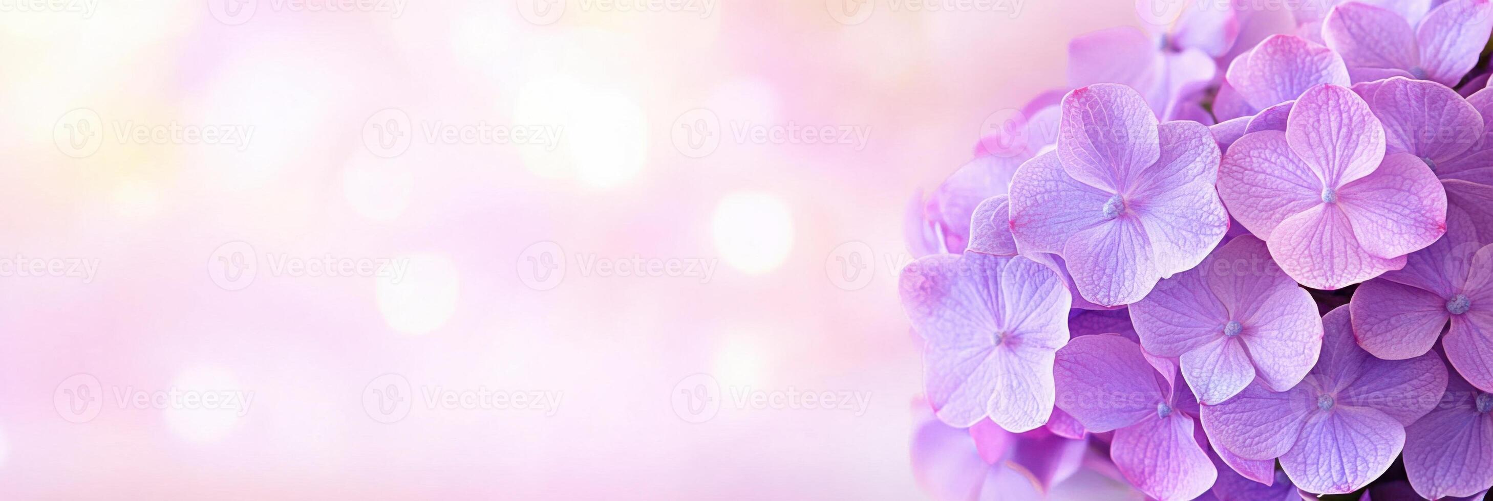 Close-up view of delicate purple hydrangea blossoms highlighted by soft light, revealing intricate petal details for a romantic feel in a natural setting photo
