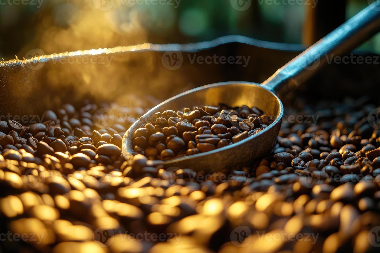Metal scoop picking up roasted coffee beans with steam rising in golden light photo