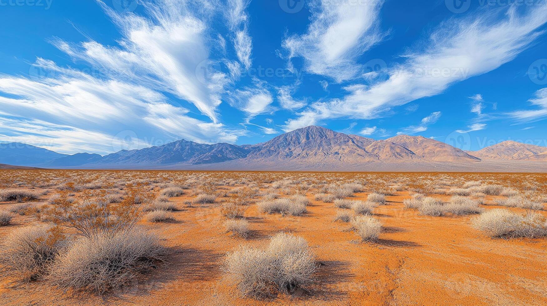 Desert landscape with bushes and mountains under cloudy sky photo