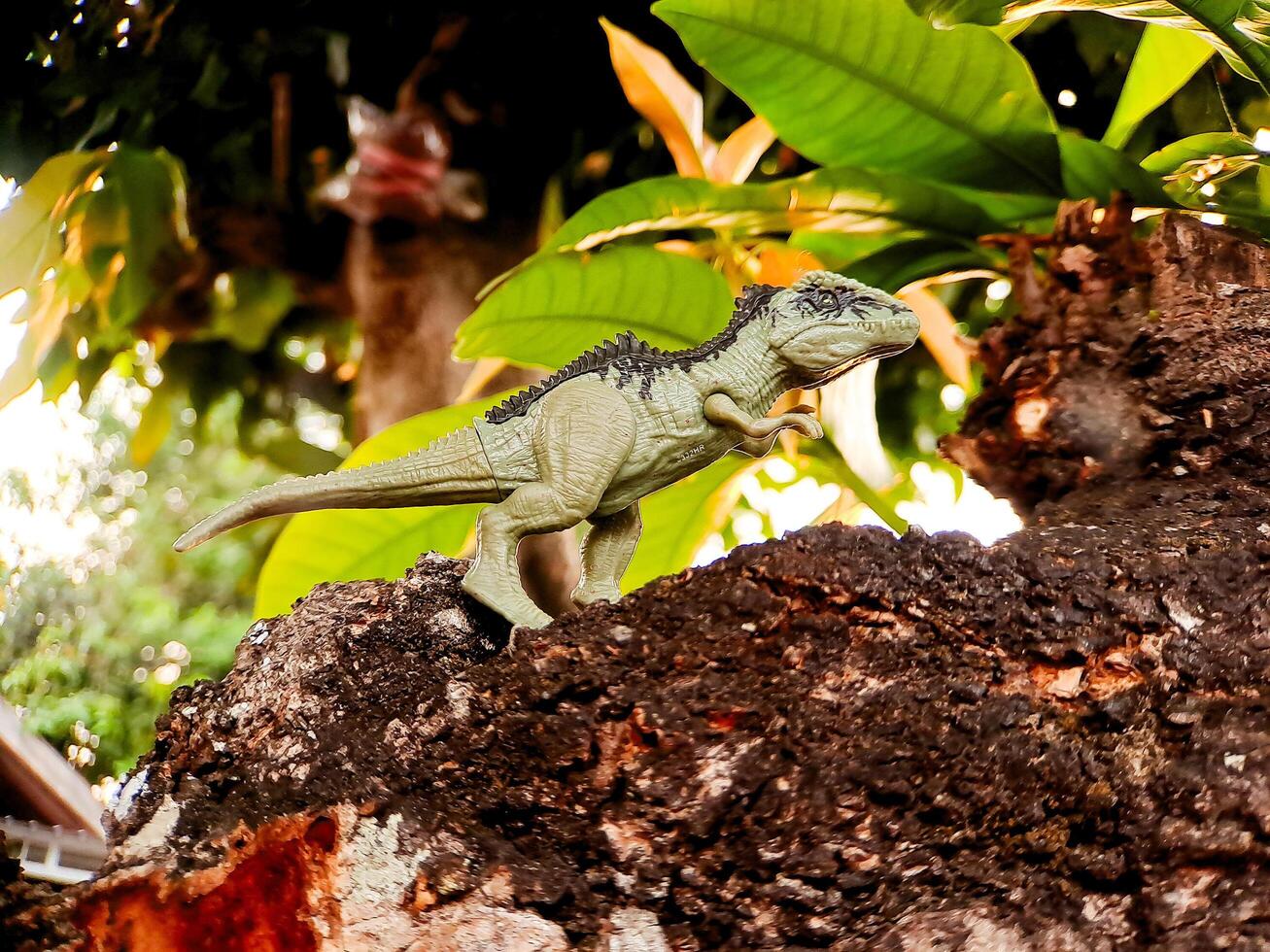 A toy dinosaur is standing on a rock photo