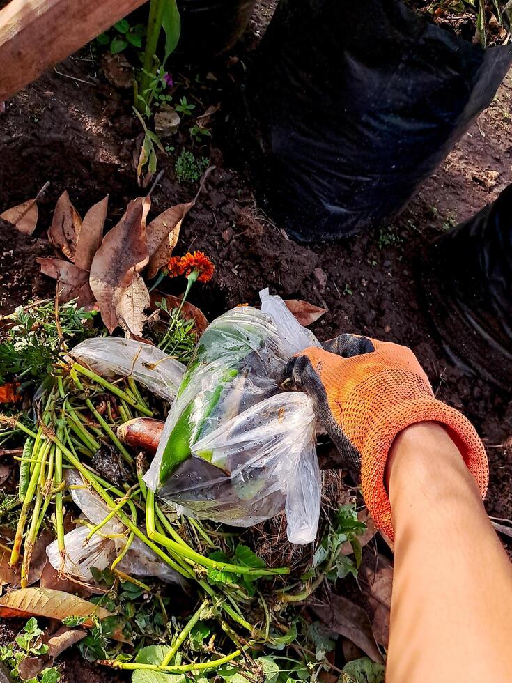 A person is picking up some plants from the ground photo