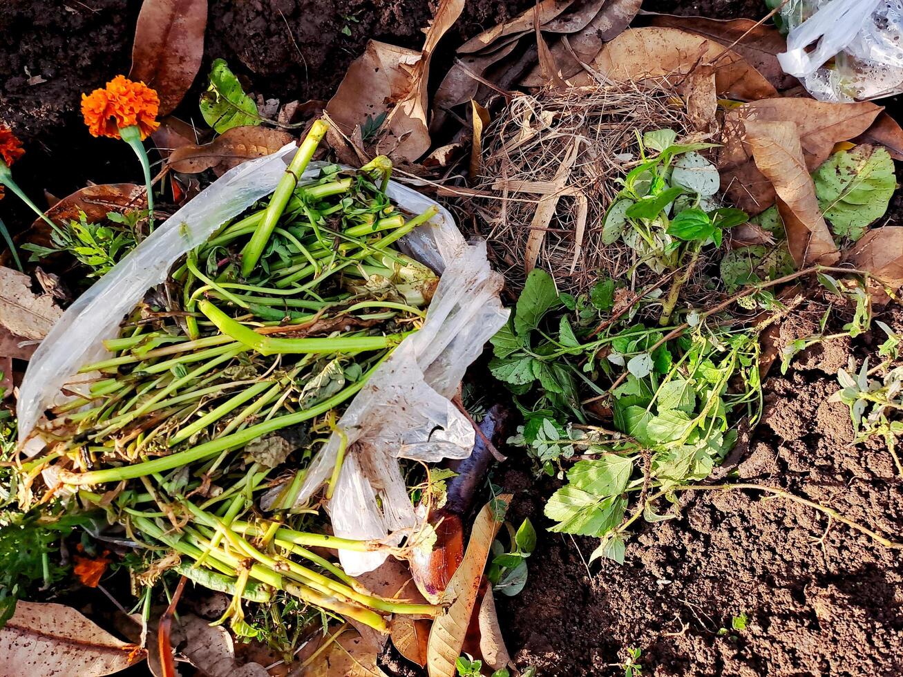 A bag of vegetables and flowers on the ground photo