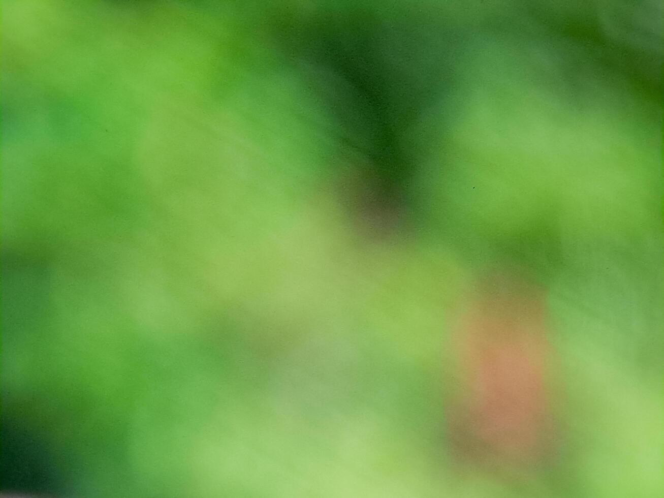 A bird sitting on a branch photo