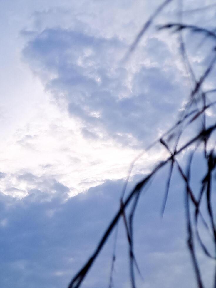 A blue sky with clouds and a bird flying photo