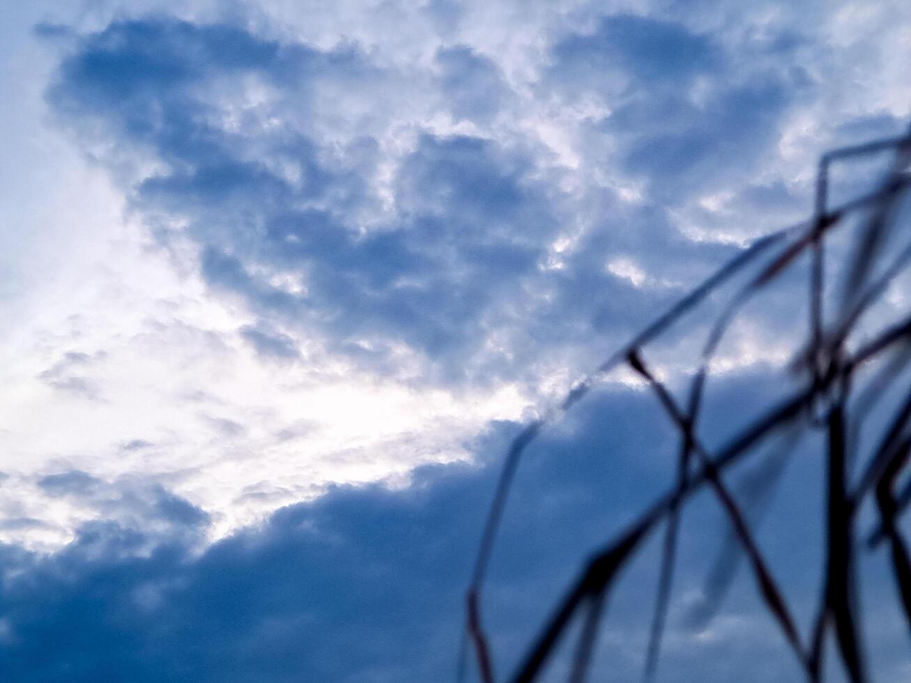 A blue sky with clouds and some tall grass photo