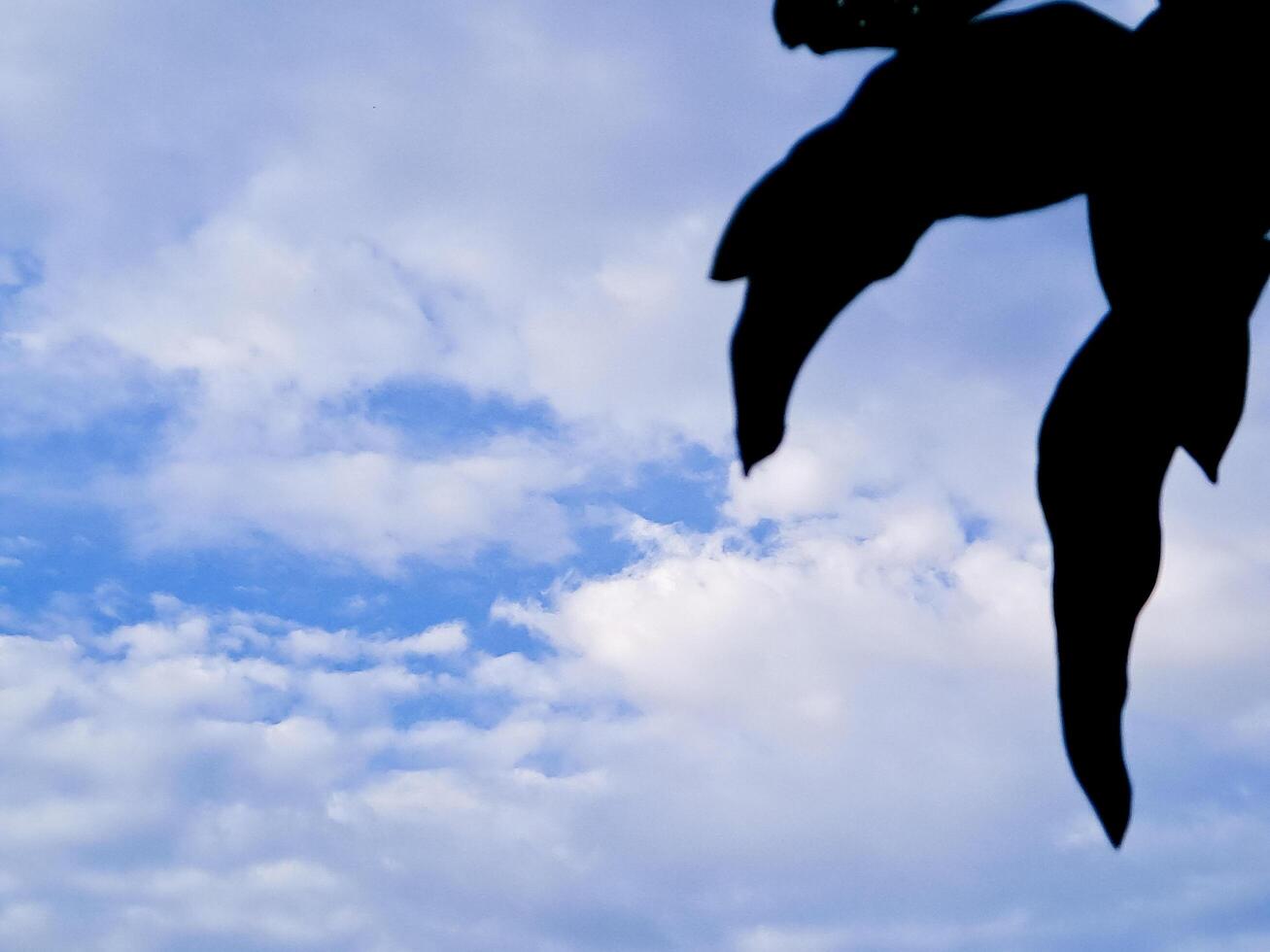 A kite flying in the sky photo