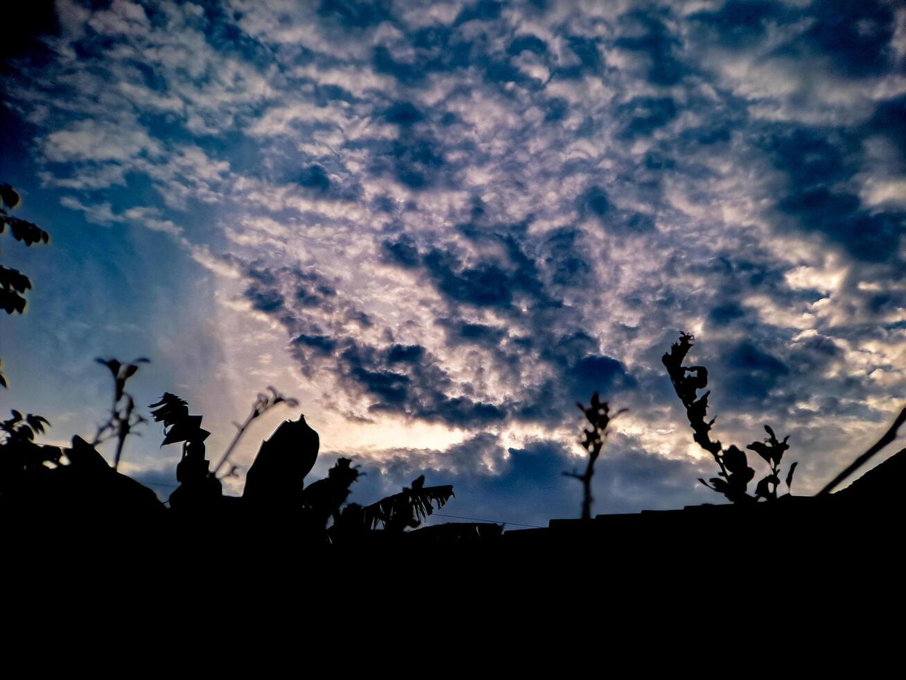 A cloudy sky with some plants in the foreground photo