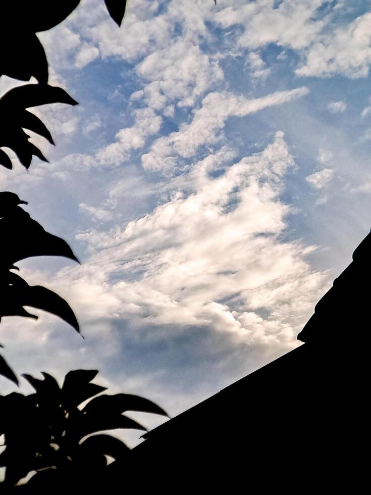 A bird is flying in the sky above a building photo