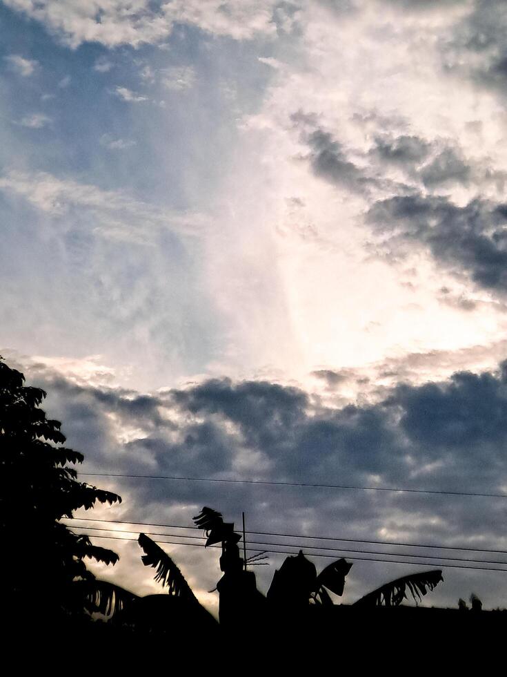A silhouette of a tree in the sky with clouds photo