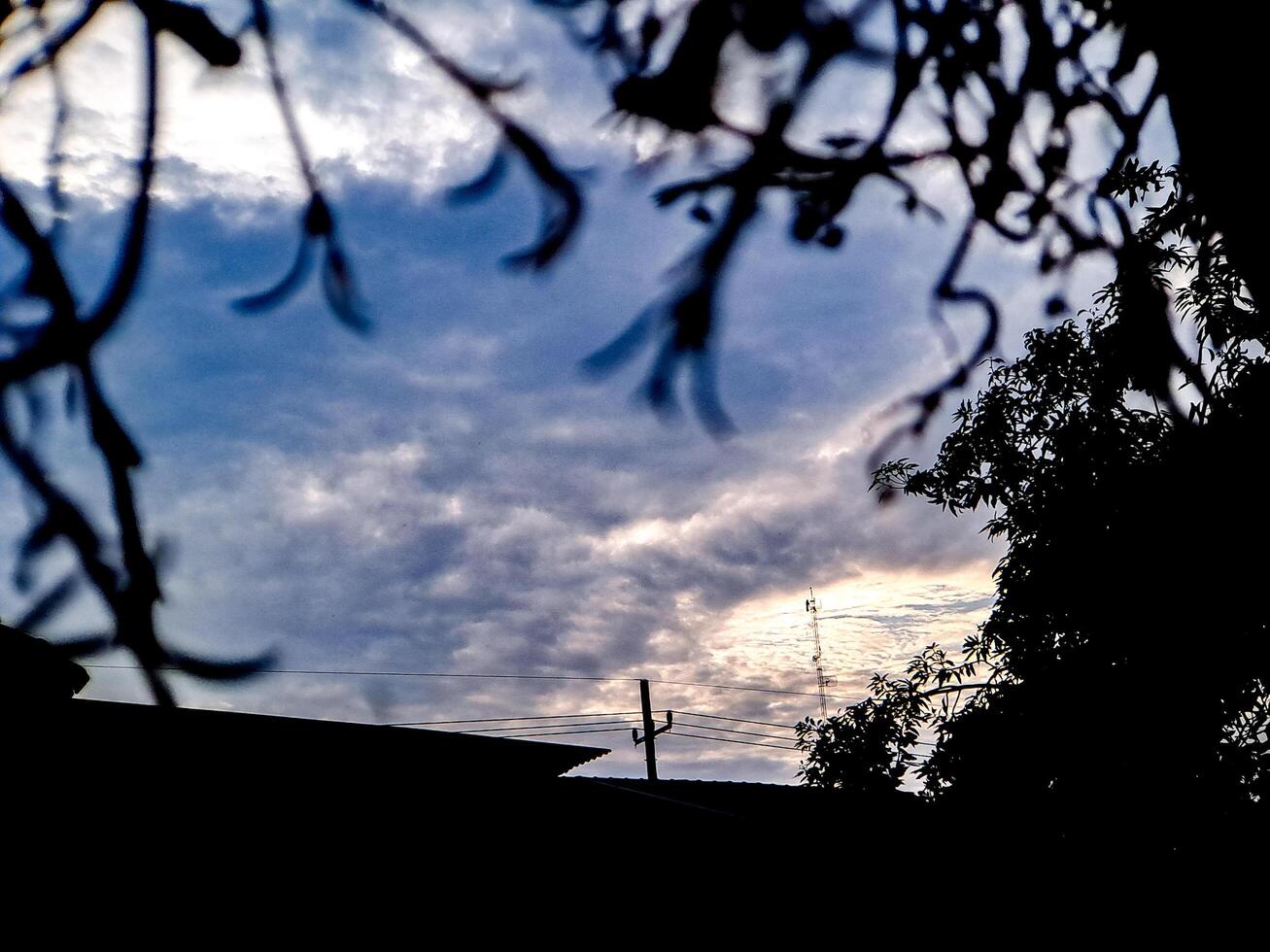 A cloudy sky with a blue sky and a tree photo