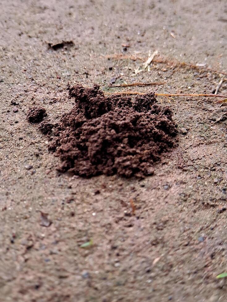 A pile of dirt on the ground photo