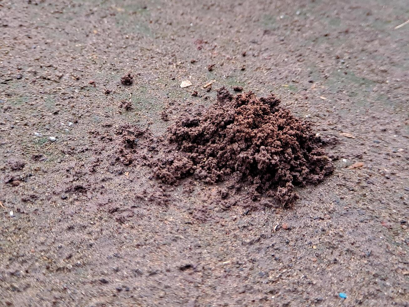 A pile of dirt on the ground photo