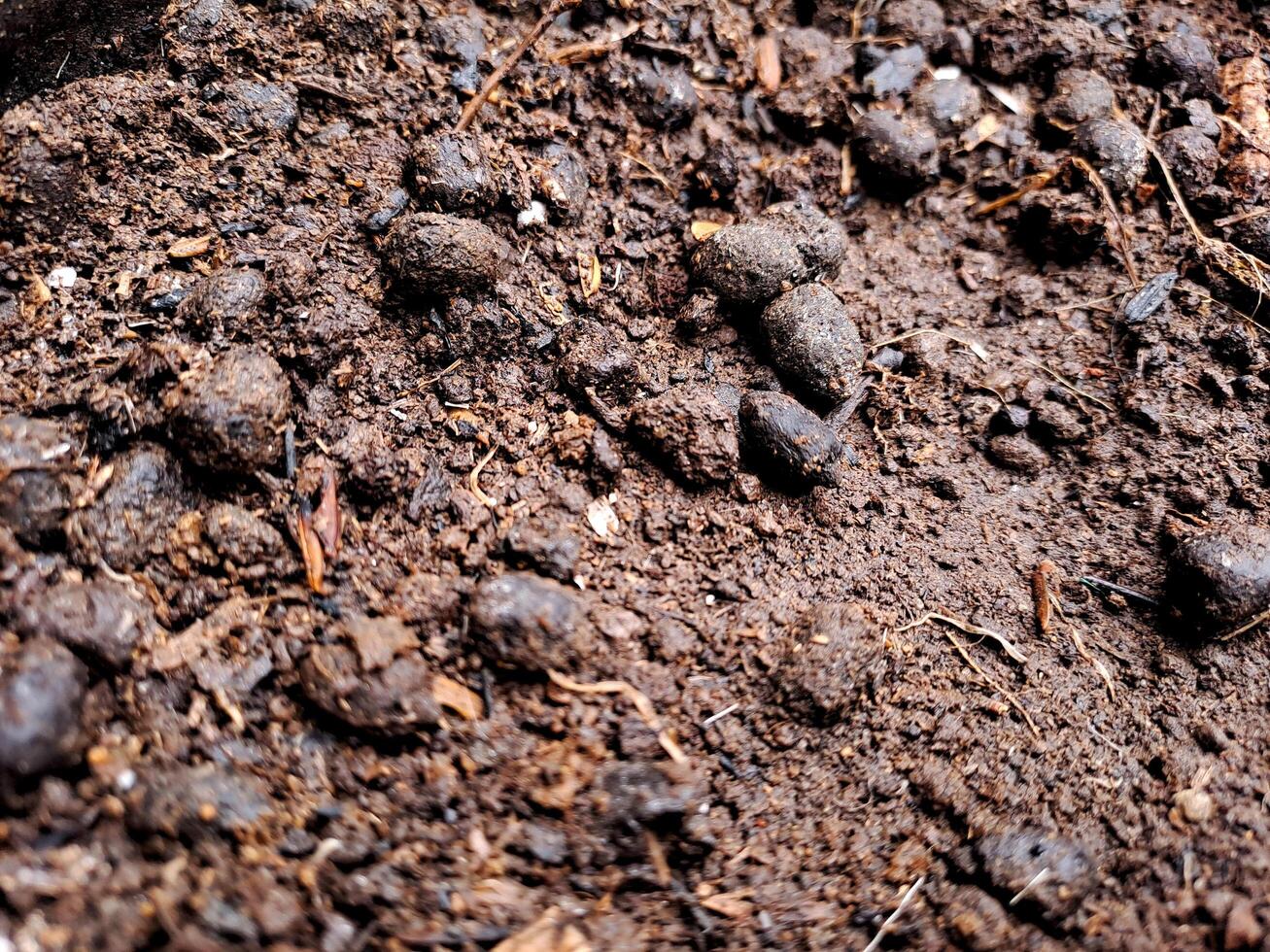 A pile of dirt with small rocks and dirt photo