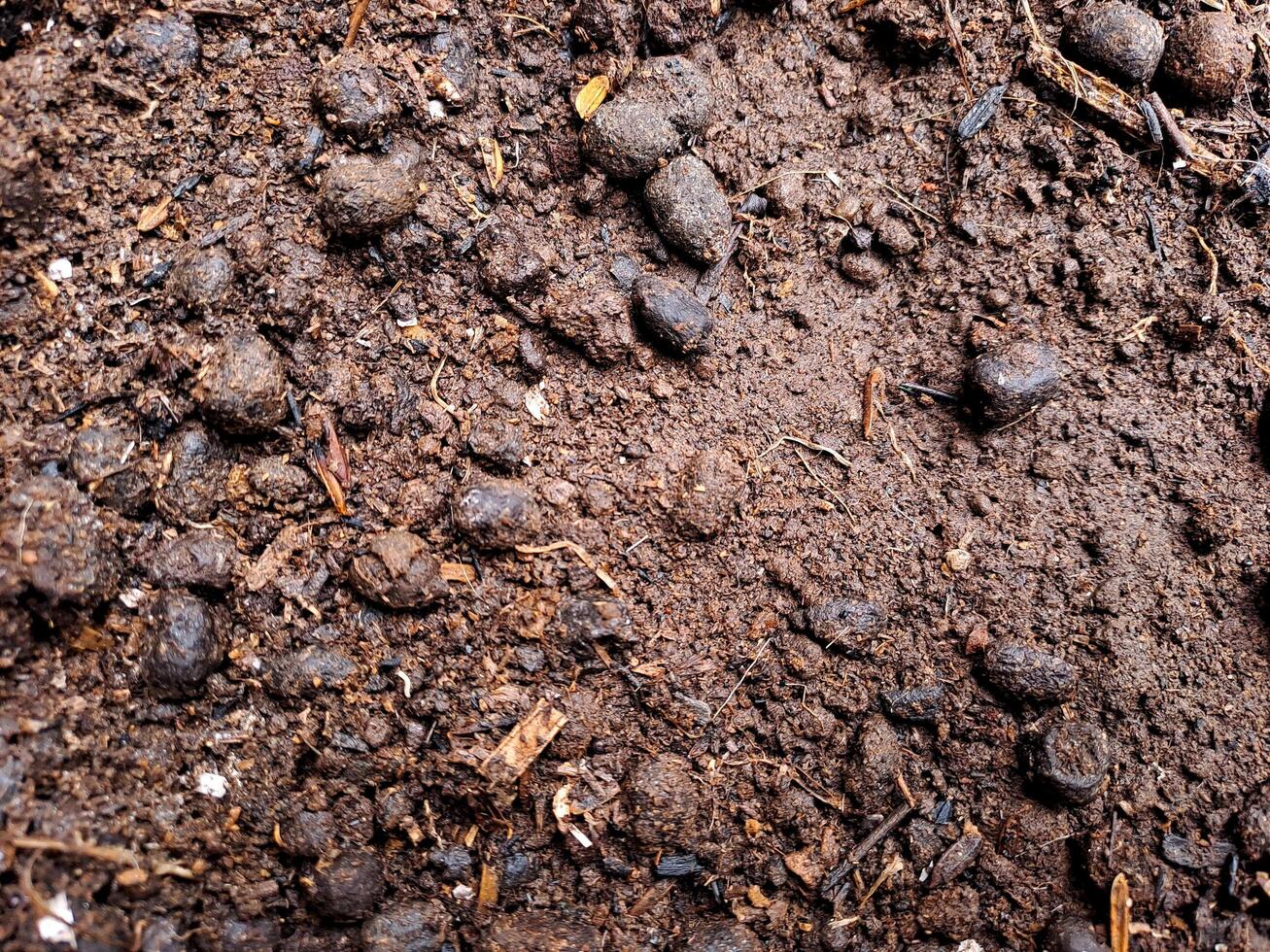 Soil texture background photo