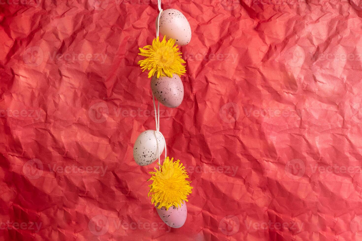 Yellow dandelions and eggs the color of Peach Fuzz are speckled, hanging on a red background. The concept of the Easter holiday. photo