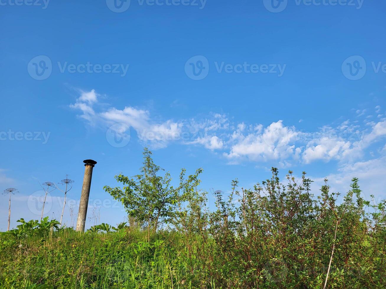 Against the background of a blue sky with feathery clouds, a thin chimney protrudes from behind green bushes. photo
