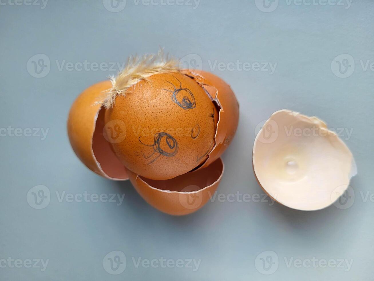 A brown shell of a broken egg with painted eyes. The concept of Easter photo