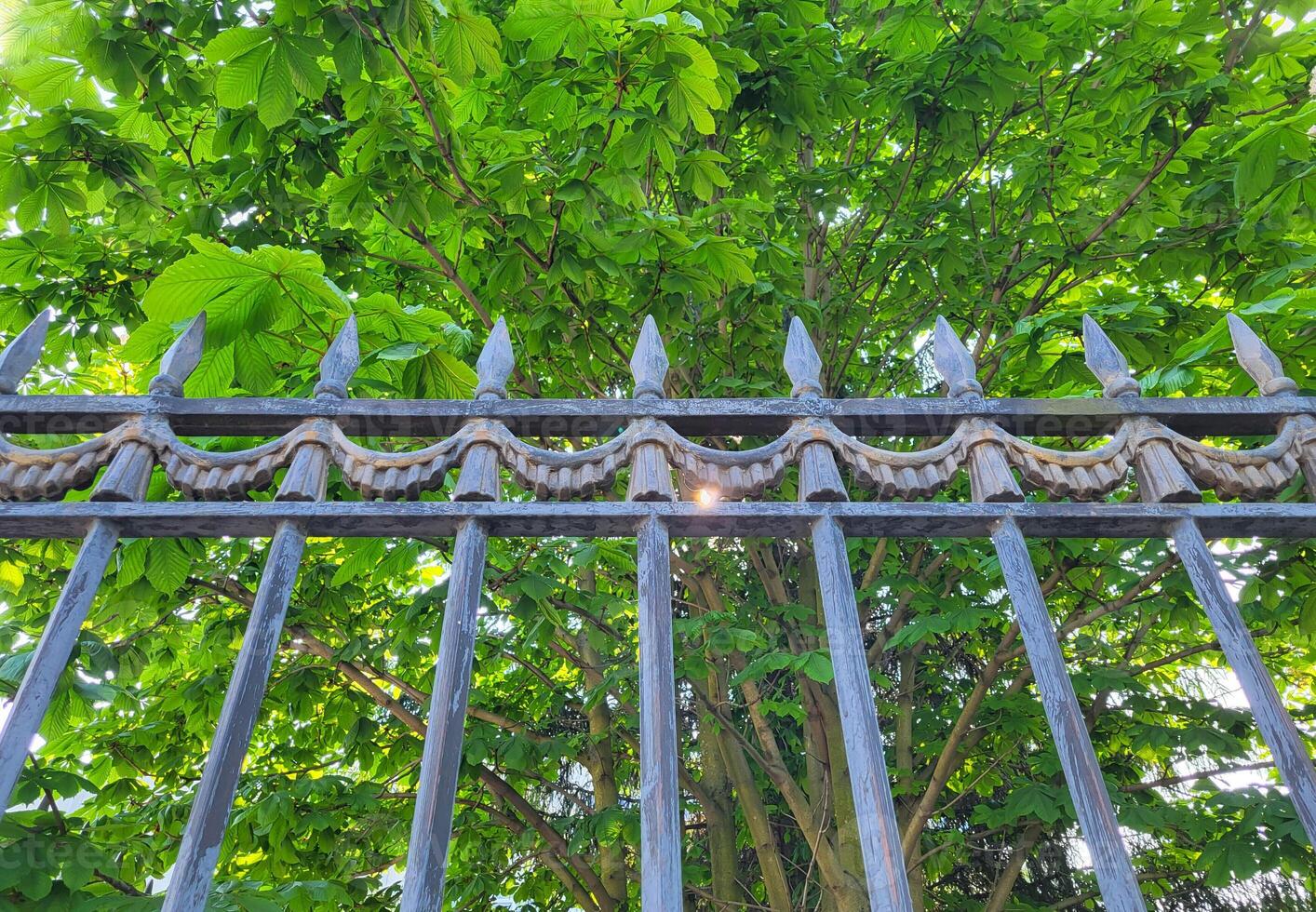 A fence with sharp tips on a background of green chestnut leaves photo
