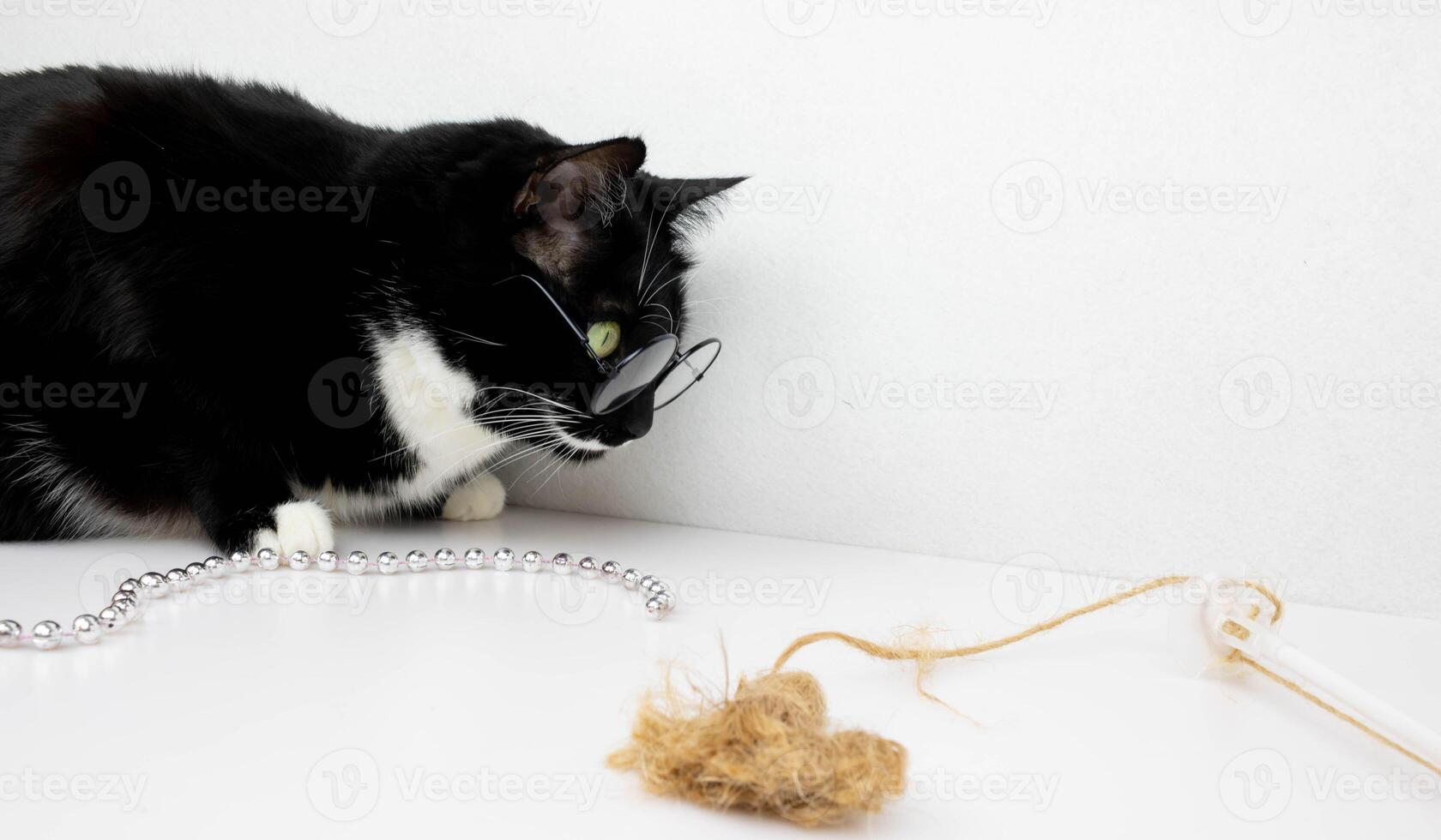 An observant smart black and white cat with round glasses photo