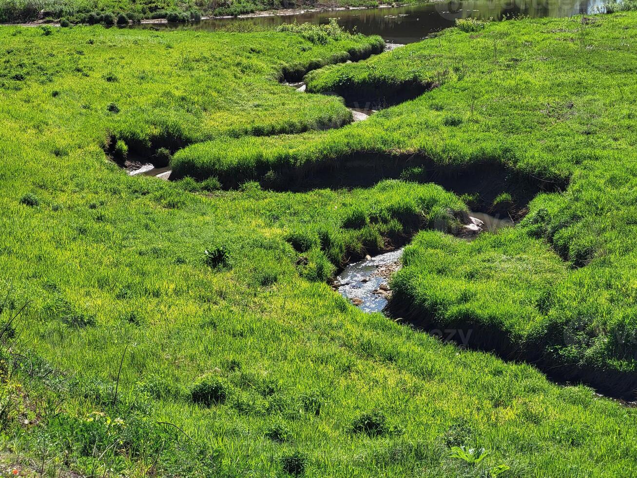 On a sunny spring day, a stream winds through a green meadow in tall grass. photo