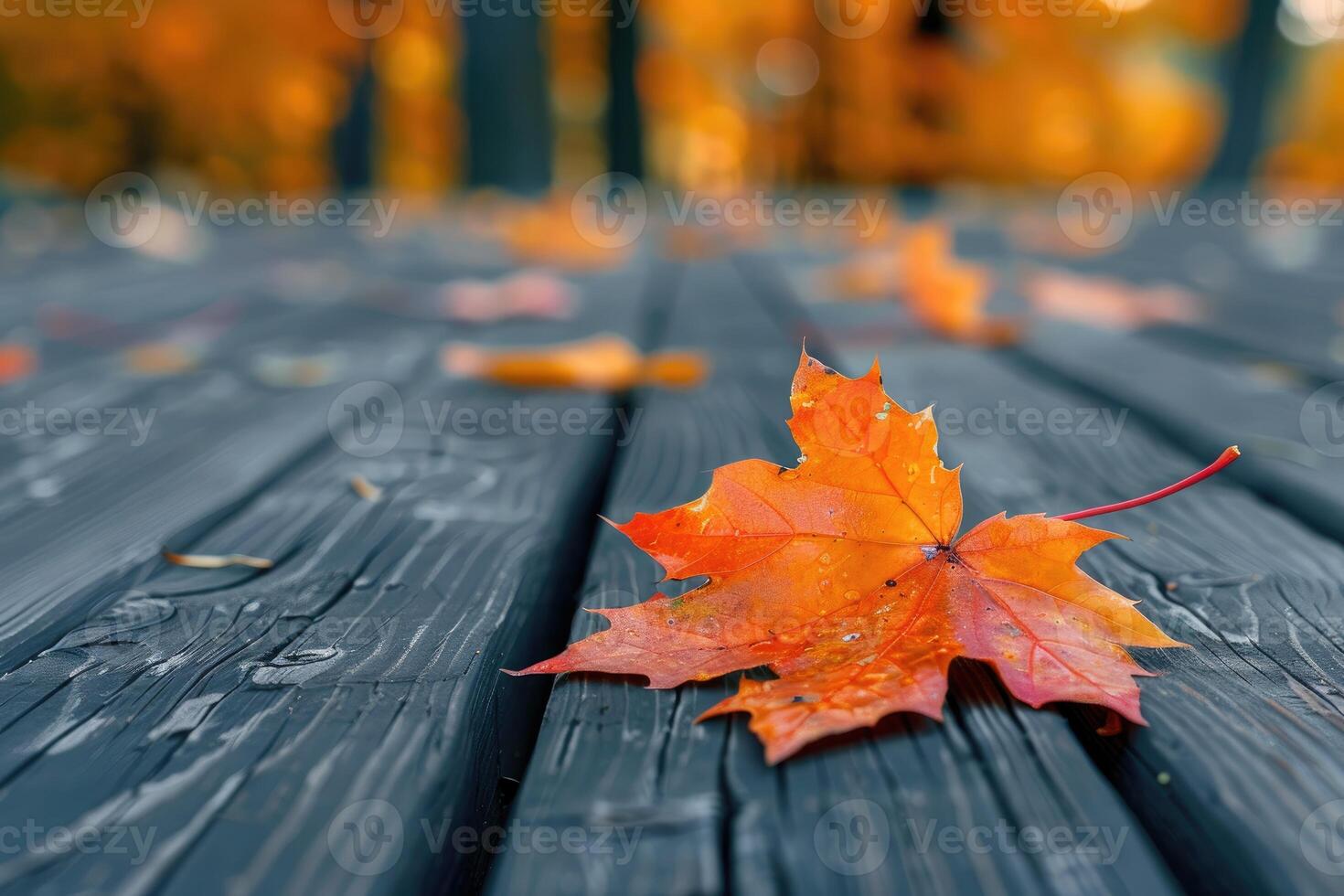 Autumn Maple Leaf on Dark Wooden Deck photo