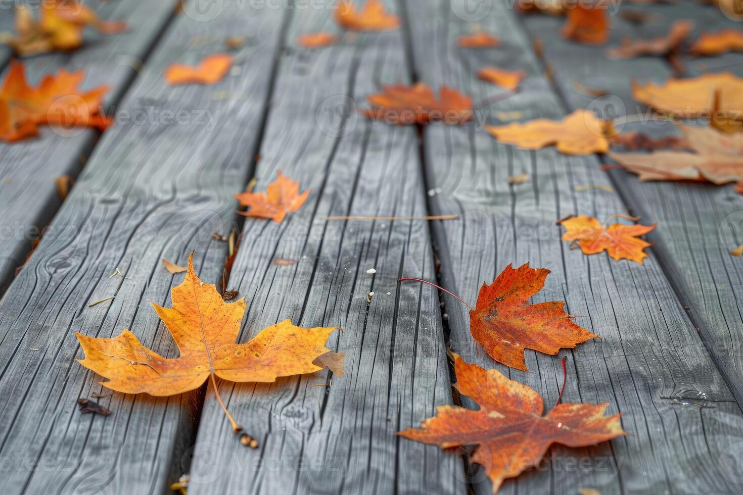 Autumn Leaves Scattered On A Wooden photo
