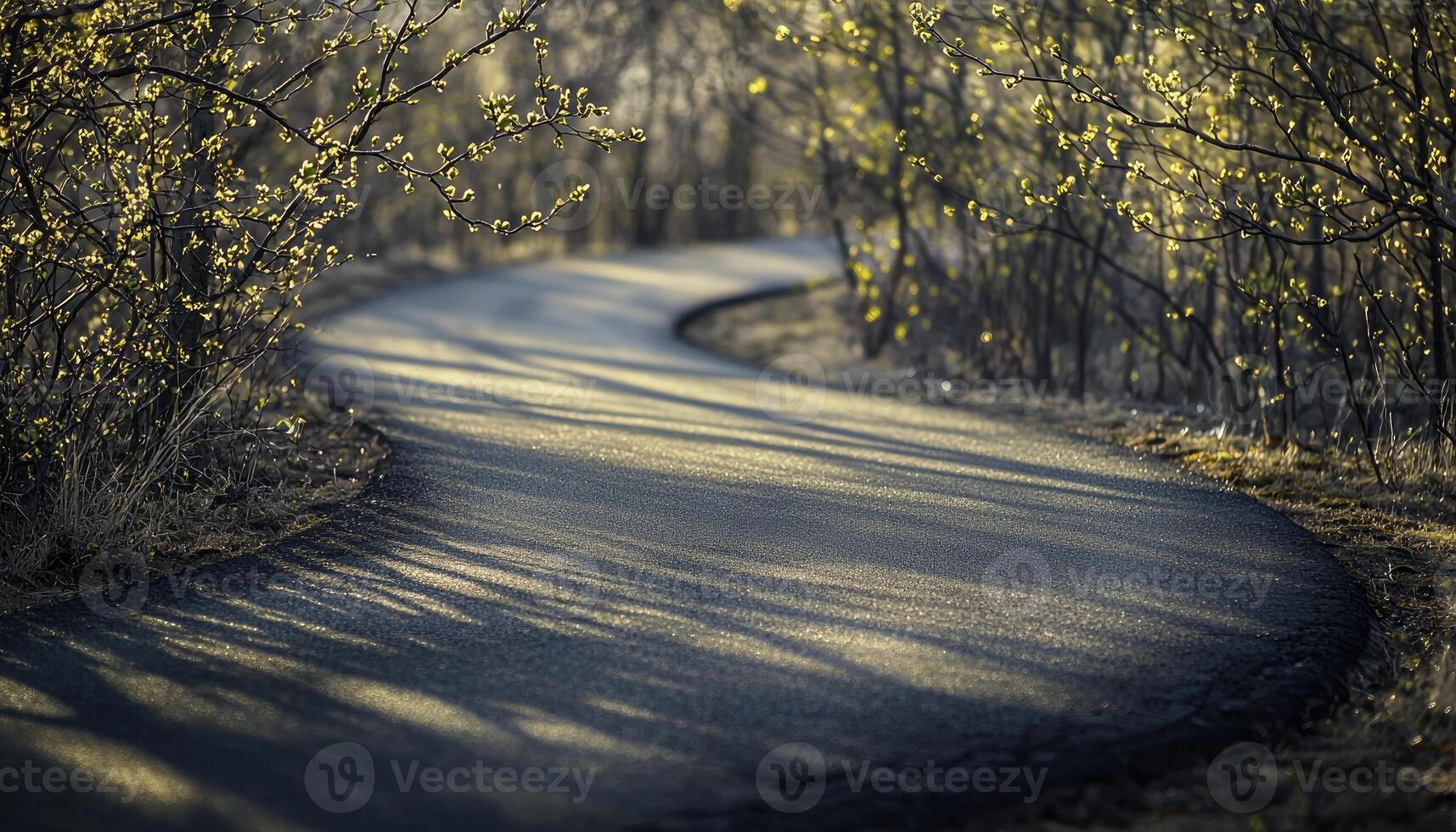 Winding Path Through Springtime Bushes and Trees photo