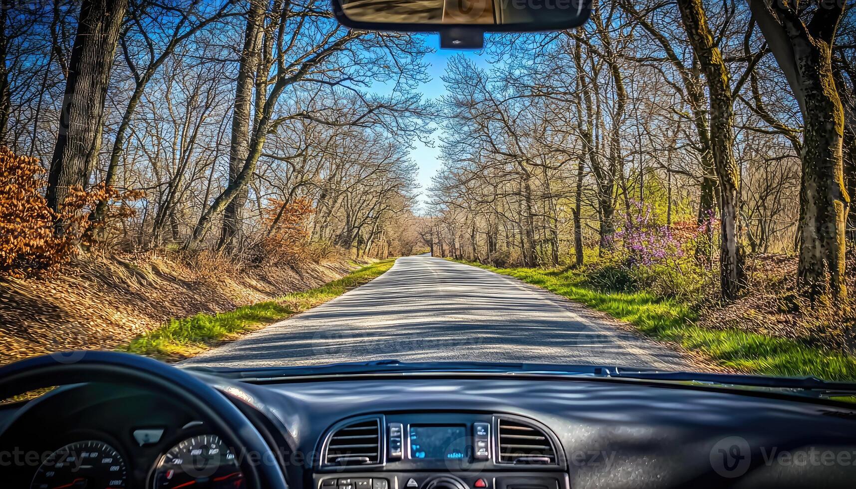 Driving Through A Canopy Of Leafless Trees On A Sunny Day photo