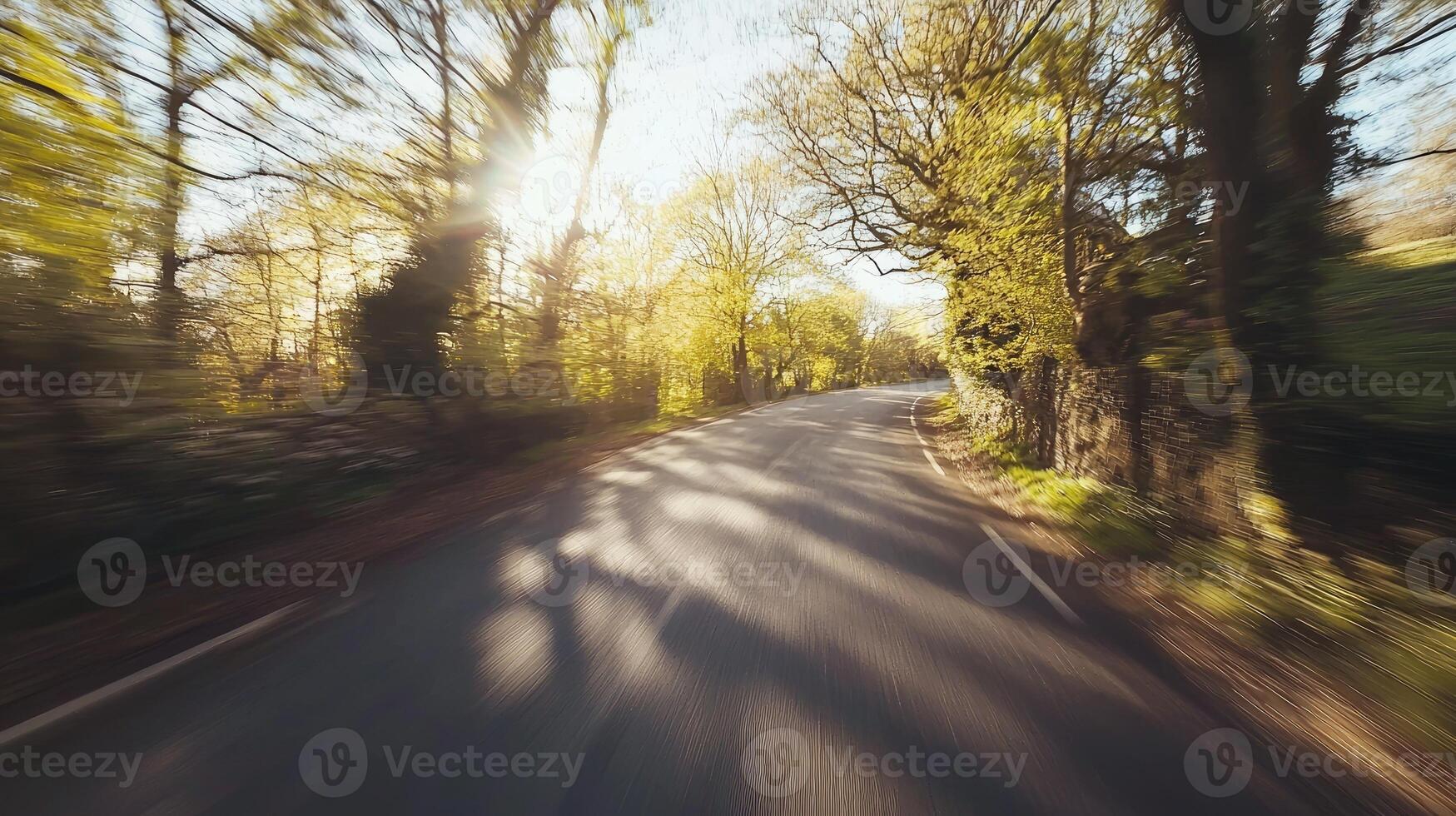 Sunlit Road Through Lush Green Springtime Forest photo
