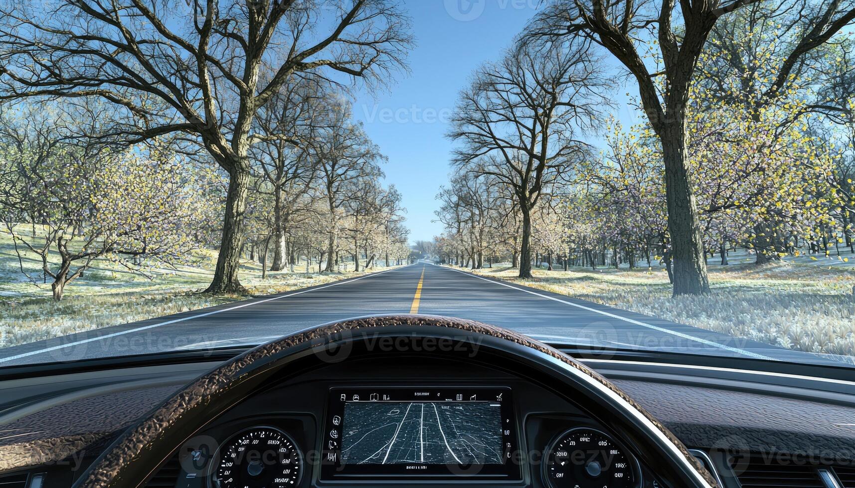 Scenic Drive Through Bare Trees In Early Spring photo