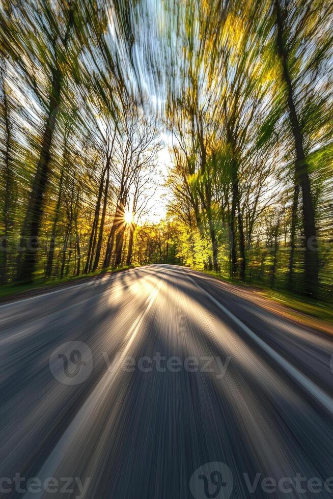 Sunlit Road Through A Forest Of Trees photo