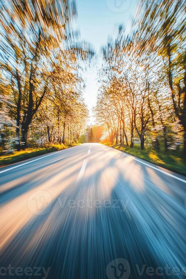 A scenic road journey through blossoming trees at sunset photo