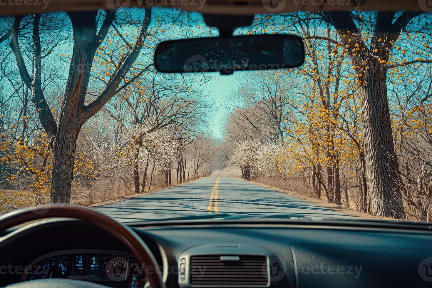 Scenic Spring Drive Through Blooming Trees photo