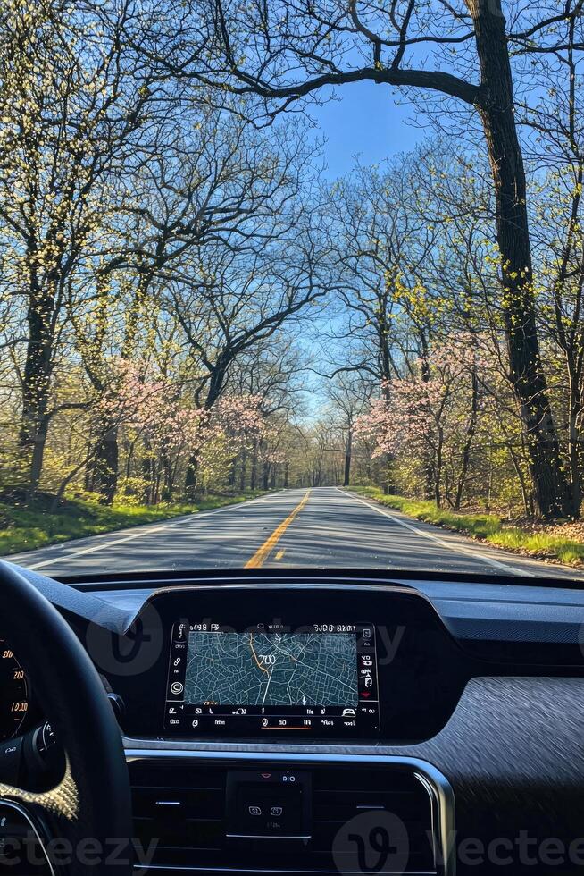 Springtime Drive Through Blossoming Trees Along a Scenic Road photo