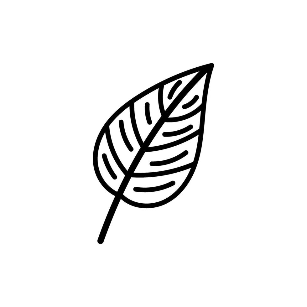 Leaf outline with botanical details for eco nature illustration vector