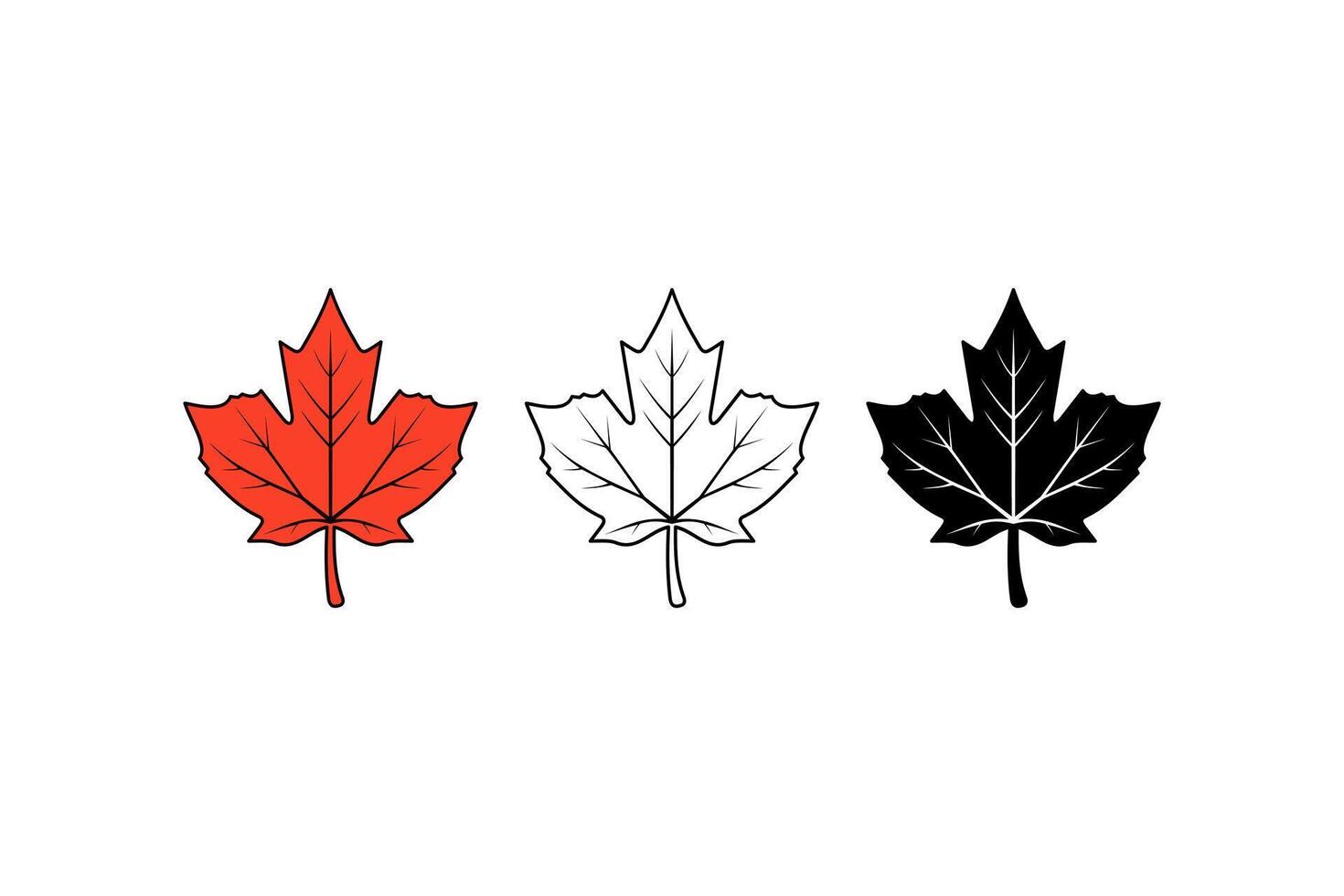 three styles hand drawn maple leaf icon vector