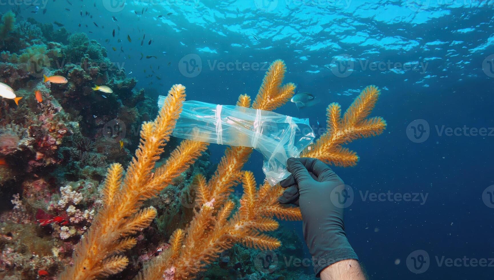 Diver collecting plastic bag trapped on coral reef in the ocean photo