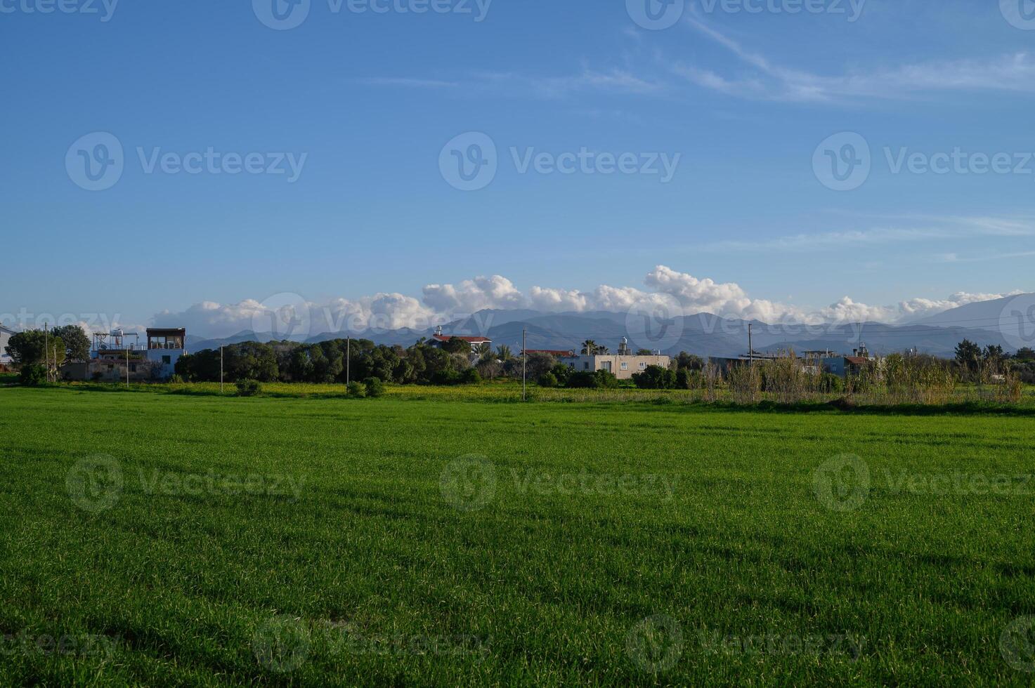 Expansive green field under a bright blue sky with distant mountains in the background photo