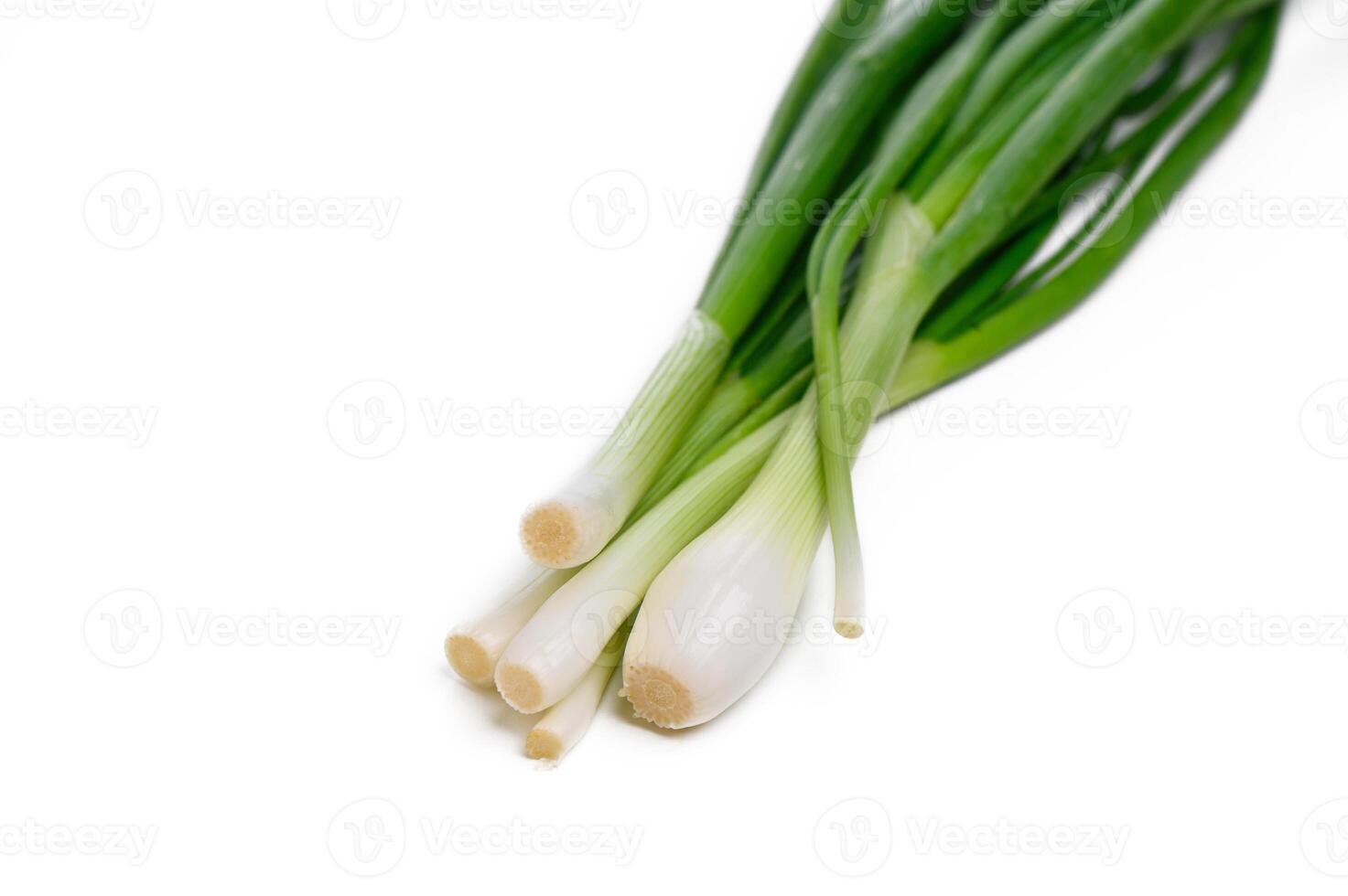 Fresh green onions gathered together against a crisp white backdrop enhancing their vibrant colors photo